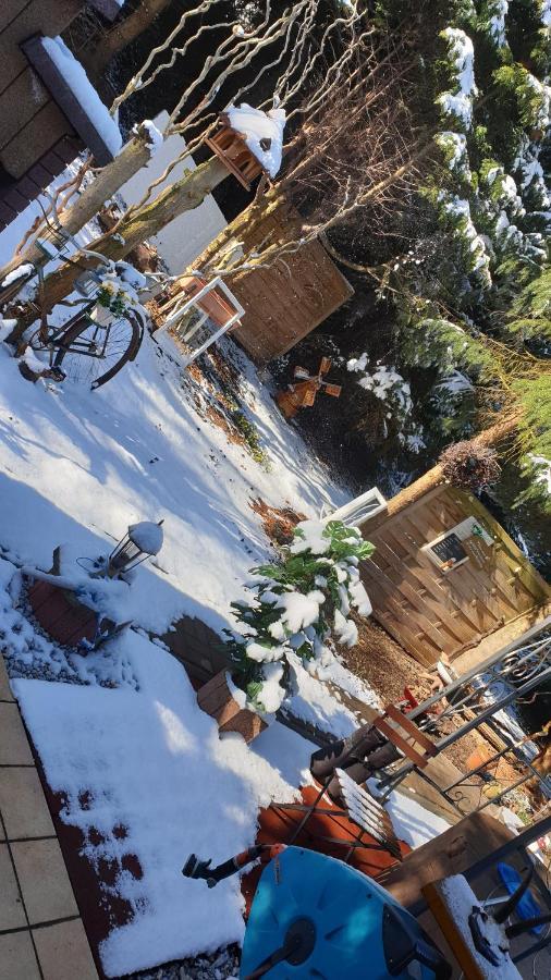 Ferienwohnung Landidylle Gieckau Bagian luar foto